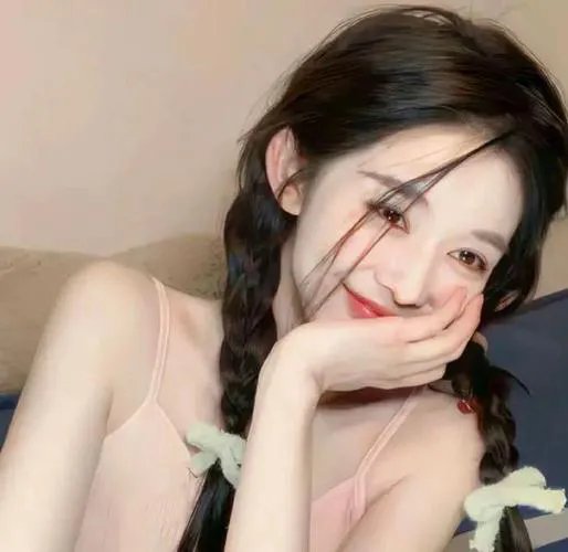 我的宠物少将军